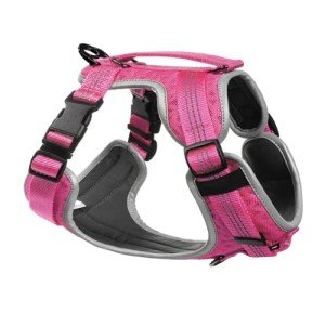 Embark No Pull Dog Harness with 2 Leash Clips