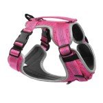 Embark No Pull Dog Harness with 2 Leash Clips