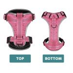 Embark No Pull Dog Harness with 2 Leash Clips