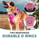 Embark No Pull Dog Harness with 2 Leash Clips