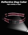 Personalised Reflective Dog Collar with Name Plate