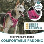 Embark No Pull Dog Harness with 2 Leash Clips