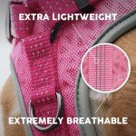Embark No Pull Dog Harness with 2 Leash Clips
