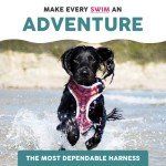 Embark No Pull Dog Harness with 2 Leash Clips