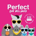 Gentle Grooming Brush for Dogs, Cats, and Pets