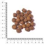 Hunger of the Wolf Lamb & Rice Dog Food