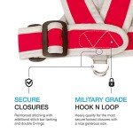 Adjustable Step-In Dog Harness for All Sizes