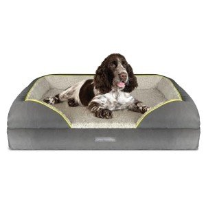 Large Orthopaedic Dog Bed with Memory Foam