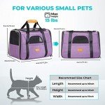 Morpilot Airline Approved Pet Carrier for Dogs