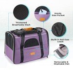 Morpilot Airline Approved Pet Carrier for Dogs