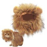 Adorable Lion Mane Wig for Pets and Dogs