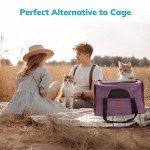 Morpilot Airline Approved Pet Carrier for Dogs