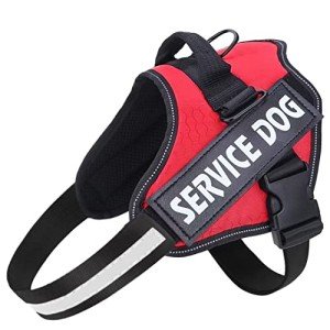 Adjustable No-Pull Dog Harness for Small Dogs
