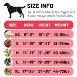 Adjustable No-Pull Dog Harness for Small Dogs