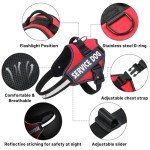 Adjustable No-Pull Dog Harness for Small Dogs