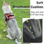 Adjustable No-Pull Dog Harness for Small Dogs