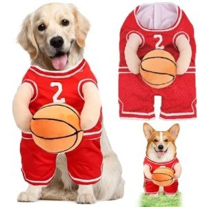 Basketball Dog Costume with Fun Accessory