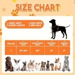 Basketball Dog Costume with Fun Accessory