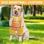 Basketball Dog Costume with Fun Accessory