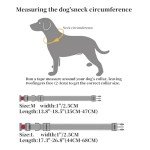 Adjustable Reflective Neoprene Dog Collar - Black