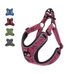 Adjustable No-Pull Dog Harness with Front Clip