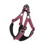 Adjustable No-Pull Dog Harness with Front Clip