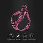 Adjustable No-Pull Dog Harness with Front Clip