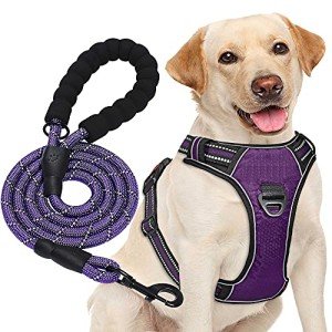 Haapaw No Pull Adjustable Dog Harness with Lead