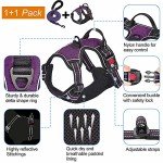 Haapaw No Pull Adjustable Dog Harness with Lead