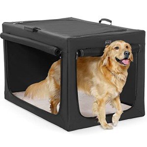 Soft-Sided Dog Kennel with Comfortable Mat - Black