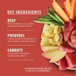 Lily's Kitchen Cottage Pie Wet Dog Food Tins