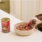 Lily's Kitchen Cottage Pie Wet Dog Food Tins