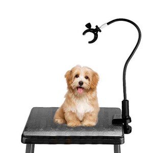 360° Hands-Free Pet Hair Dryer Holder Clamp