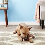 KONG Scrunch Knots Squirrel Toy for Dogs