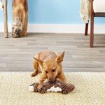 KONG Scrunch Knots Squirrel Toy for Dogs