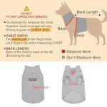 Cozy Fleece Vest for Small & Medium Dogs