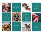 PawGang 100% Natural Beef Jerky Treats for Dogs