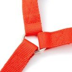 Adjustable Car Seat Belts for Dogs - 2 Pack
