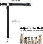 Adjustable Car Seat Belts for Dogs - 2 Pack