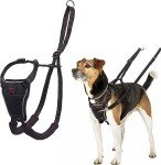 Halti No-Pull Harness for Small Dogs - Black