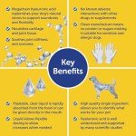 CaniFlow Liquid Joint Aid for Dogs, 250ml