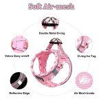 DORAMIO Soft Mesh Step-in Dog Harness & Leash Set