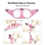 DORAMIO Soft Mesh Step-in Dog Harness & Leash Set