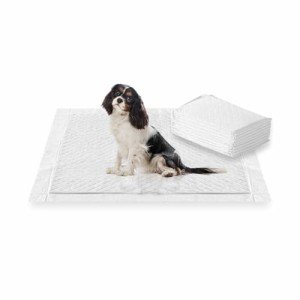 Heavy Duty Puppy Training Pads - 10 Pack