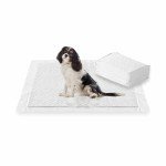 Heavy Duty Puppy Training Pads - 10 Pack