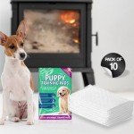 Heavy Duty Puppy Training Pads - 10 Pack