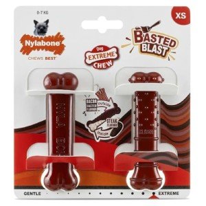 Nylabone Bacon & Steak Chew Toys for Dogs