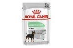 Royal Canin Adult Wet Dog Food, Digestive Care 12-Pack