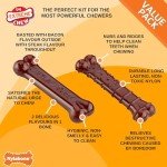 Nylabone Bacon & Steak Chew Toys for Dogs