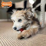 Nylabone Bacon & Steak Chew Toys for Dogs